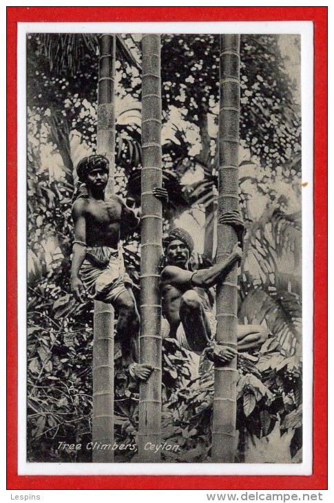 ASIE - SRI LANKA - CEYLON -- Tiree Climbers , - Sri Lanka (Ceylon)