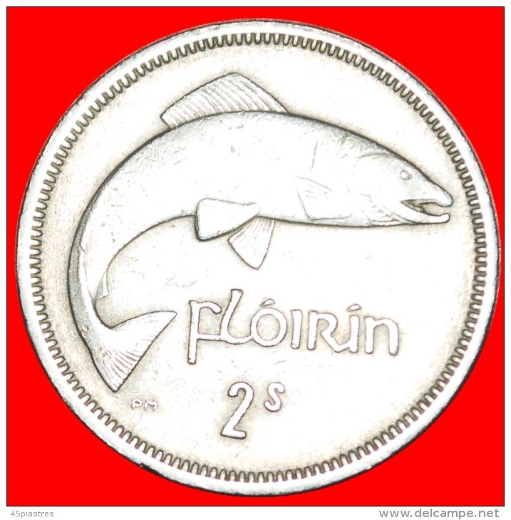 &#9733;SALMON: IRELAND &#9733; 2 SHILLINGS - FLORIN 1963! LOW START&#9733;NO RESERVE! - Irlanda