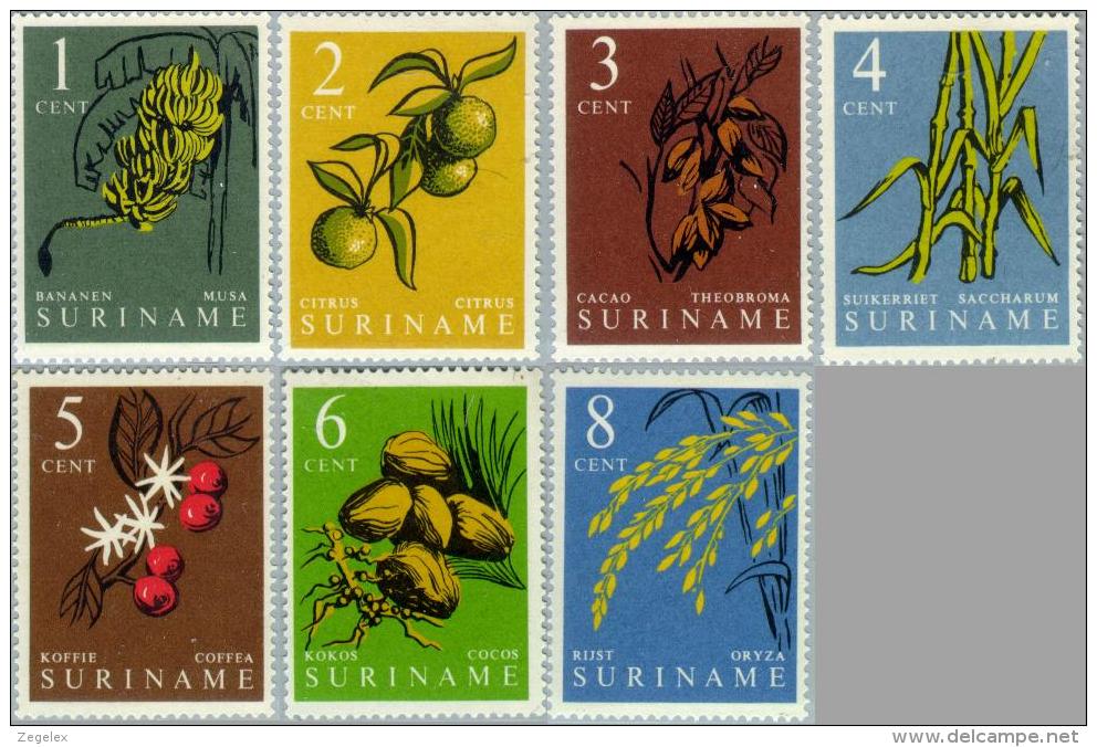 Suriname 1961 Inheemse Vruchten - NVPH  354 MNH** Postfris - Suriname ... - 1975