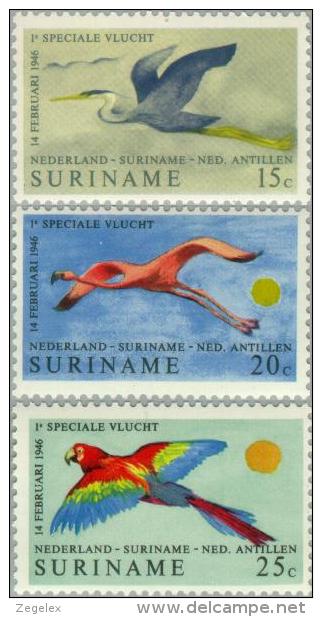 Suriname 1971 25 Years Lijndienst Amsterdam-Paramaribo - Flight - NVPH 553 MNH** Postfris - Suriname ... - 1975