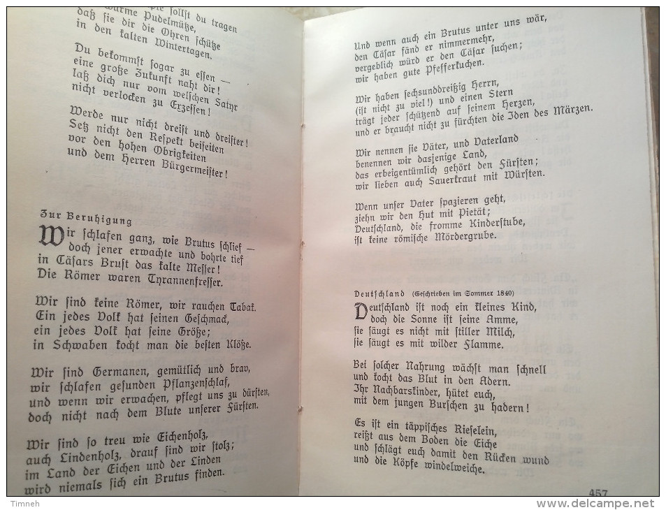 Alt Deutsch HEINRICH HEINE Das Denkmal 1912 Briefe Aufsätze Gedichte Reisebilder Denkwürdigkeiten Langenwieschen Brandt - Poésie & Essais