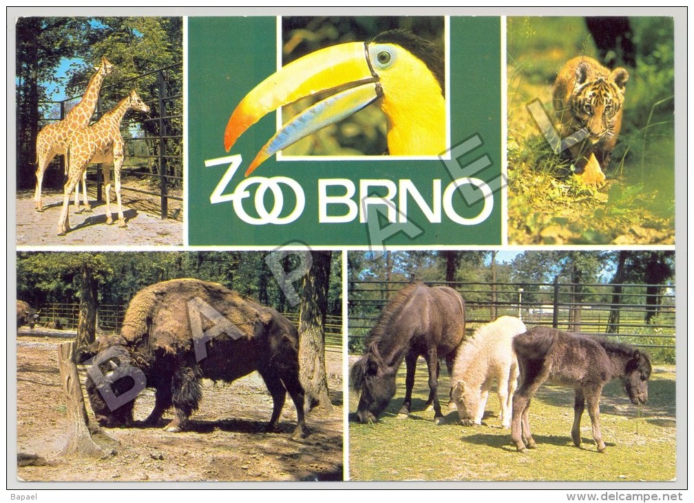 Brno - Moravie (République Tchèque) - Le Zoo - Quelques Vues - Foto Svatomir Kràlik (2) (JS) - Autres & Non Classés