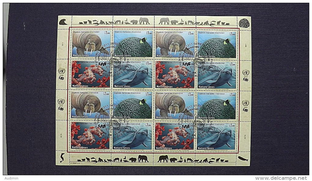 UNO-Genf 588/91 Oo/used KB/sheet, Gef. Arten: Walross, Hirnkoralle, Zwergseepferdchen, Weißwal - Blokken & Velletjes