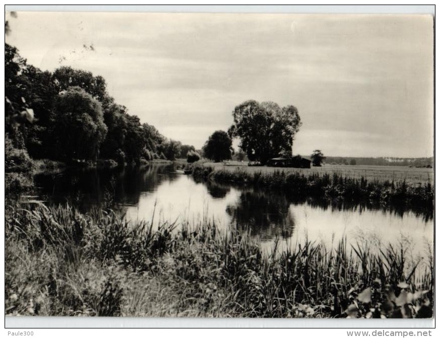 Grünheide - Hangelsberg - Partie An Der Spree - Grünheide