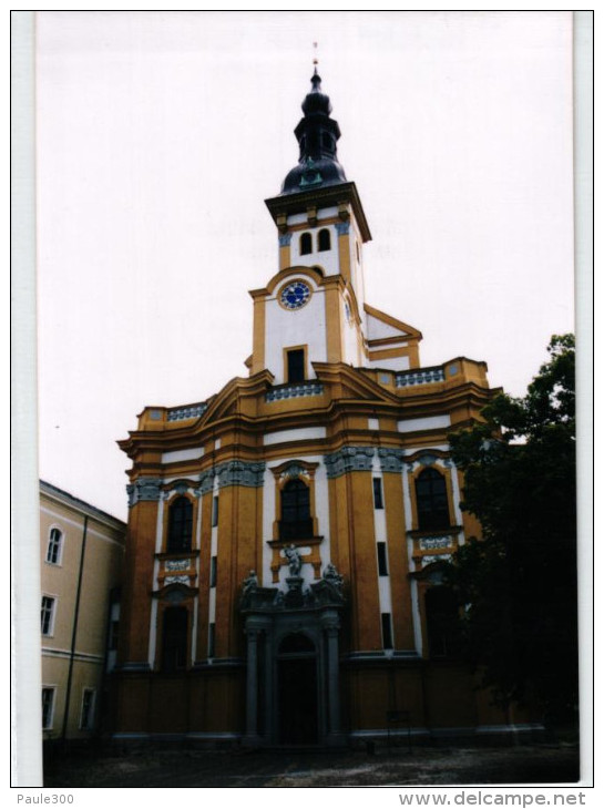 Neuzelle - Katholische Kirche - Foto 1 - Neuzelle