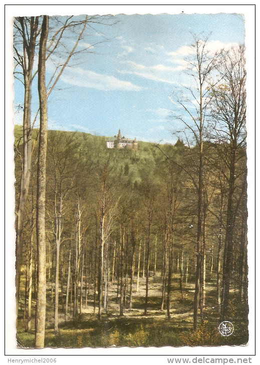 Belgique - Luxembourg - St Saint  Hubert - Mirwart Chateau Vu De La Foret - Saint-Hubert