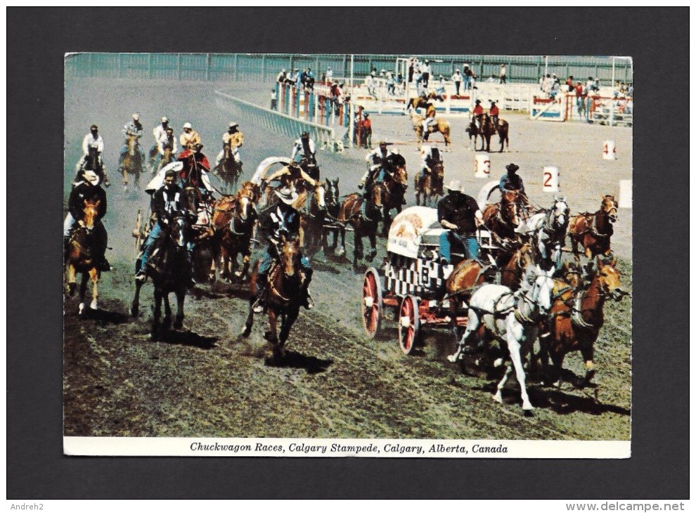 CALGARY - ALBERTA - CALGARY EXHIBITION AND STAMPEDE -  WORLD FAMOUS CHUCKWAGON RACES - Calgary