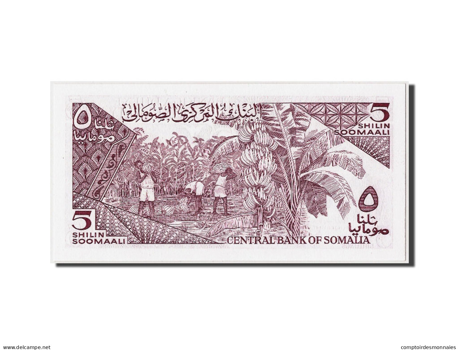 Billet, Somalie, 5 Shilin = 5 Shillings, 1986, Undated, KM:31b, NEUF - Somalia