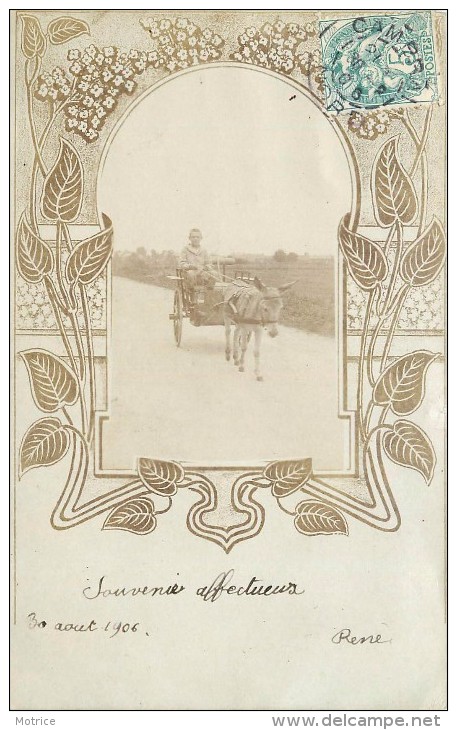 ÂNE - Un Attelage, Carte Photo Illustrée En 1906. - Anes