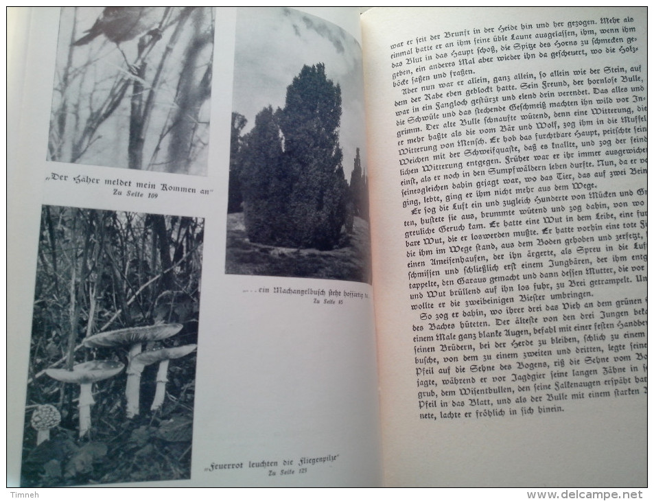 alt deutsch hermann löns sein letztes liedeine auswahl der schönsten jagdgeschichten 126 naturaufnahlen 1924