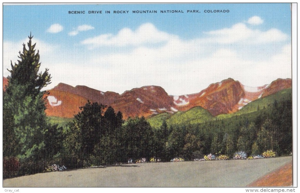 USA, Scenic Drive In Rocky Mountain National Park, Colorado, Unused Linen Postcard [16651] - Rocky Mountains