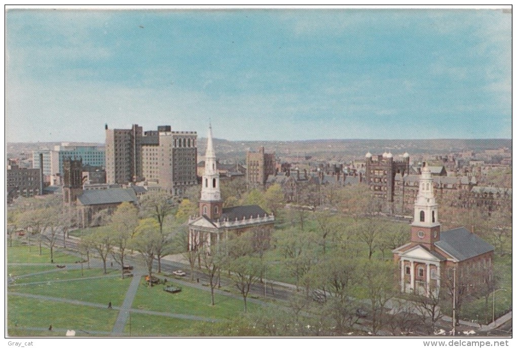 USA, New Haven, Conn, The Three Churches On The Green, Unused Postcard [16656] - New Haven