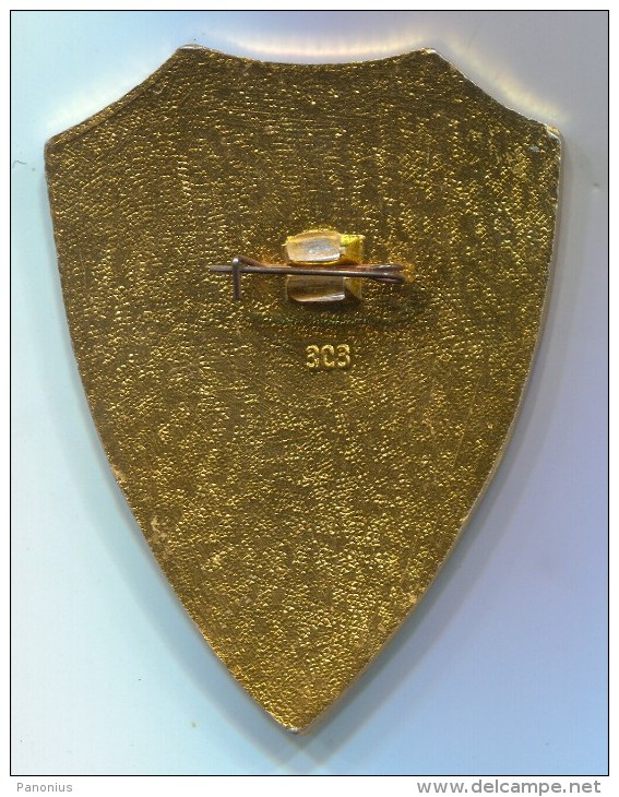 PUBLIC INSPECTOR - LABOR PROTECTION, Soviet Union Russia, Big Badge Pin, D 50 X 40 Mm - Altri & Non Classificati