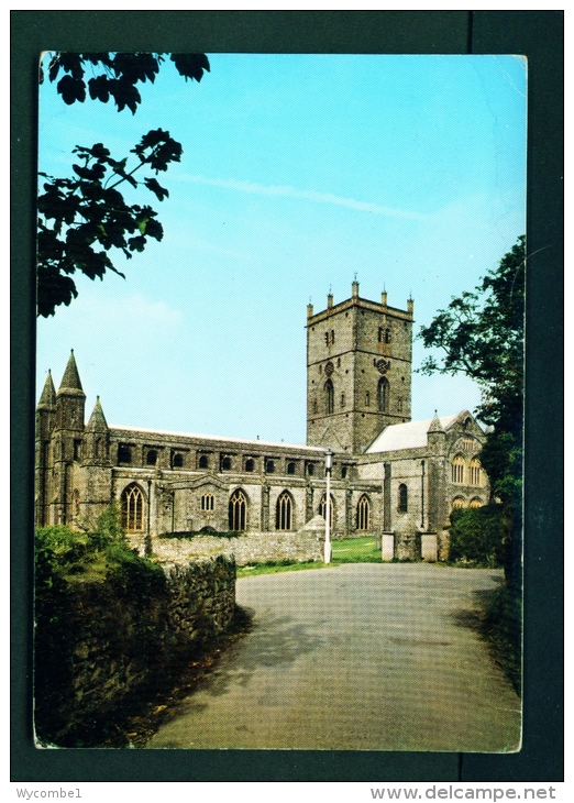 WALES  -  St David's Cathedral  Unused Postcard - Pembrokeshire