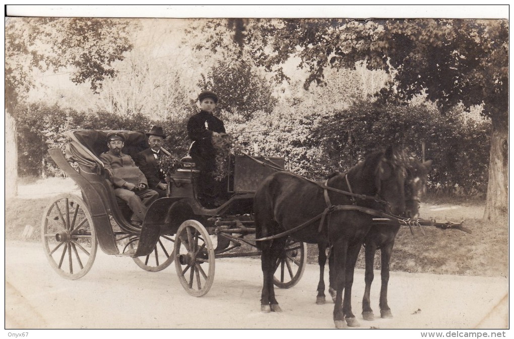 Carte Photo Militaire Allemand BUCAREST-BUKARESTI (Roumanie) Attelage Chevaux-Charrette-Garçon Cocher-Guerre 14/18 - Rumänien