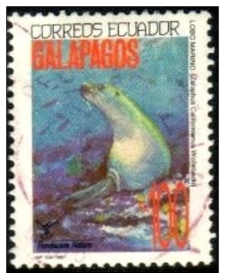 Galapagos Islands Wildlife, Sea Lion (Zalophus Wollebaeki), Ecuador Stamp SC#1283 Used - Ecuador