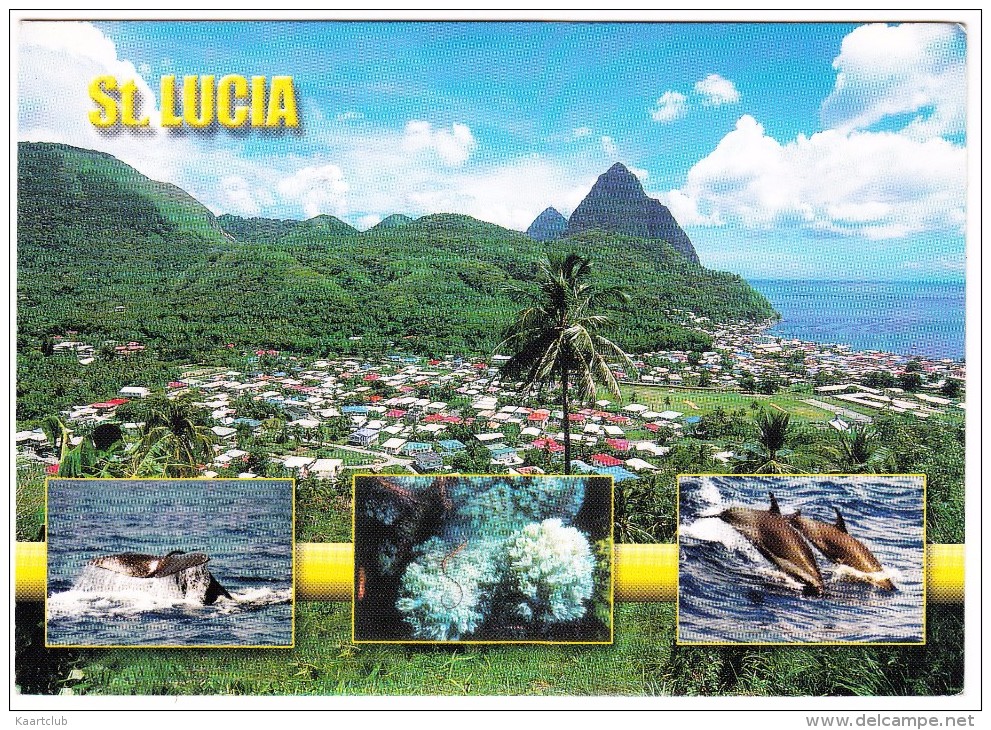 St. Lucia - WHALE, DOLPHINS, CORAL - ( 95c  'French Tricolour 1792, French 38 Gun Frigate STAMP/TIMBRE - 1996 - Santa Lucía