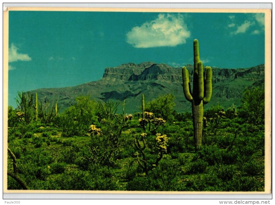 Superstition Mountain - Phoenix - Phoenix