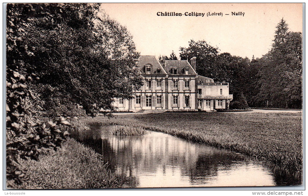 45 CHATILLON COLIGNY -- Château De Nailly - Chatillon Coligny