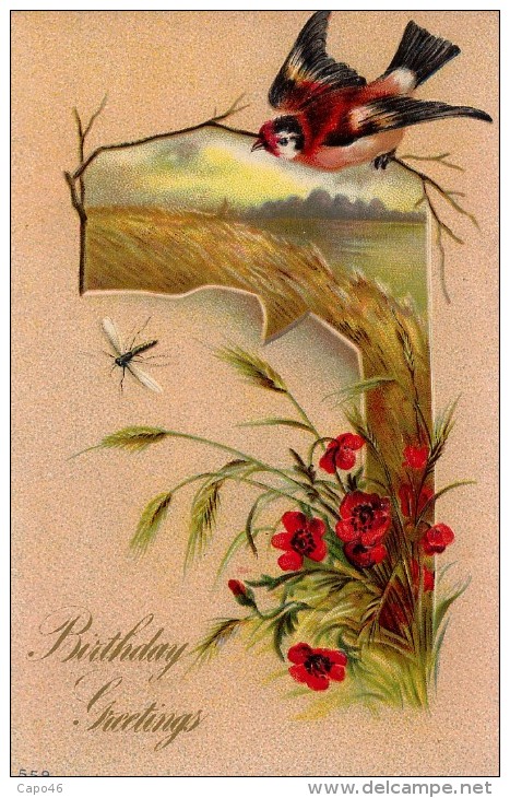 U 08 - UCCELLI - STAMPATA IN RILIEVO - USATA 1910 - Pájaros