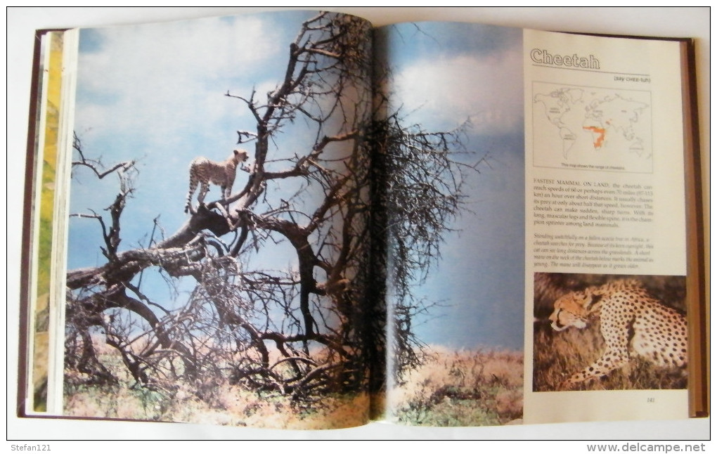 Book of Mammals - Natioanl Geographic - 2 volumes - 1981 - 608 pages 27,4 x 23,8 cm