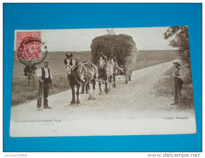 Angleterre ) The Last Load - A Sussex Team - Gwine Whoam " Attelage  " Année 1901 : EDIT : - Bognor Regis