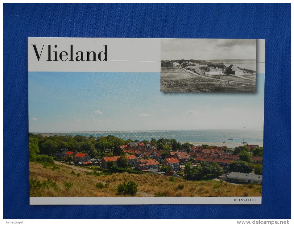 Postal Stationery, Vlieland, Photo Camera, Lepelaar, Spoonbill - Geographie