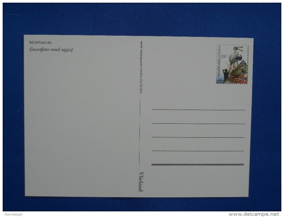 Postal Stationery, Vlieland, Photo Camera, Lepelaar, Spoonbill - Geographie