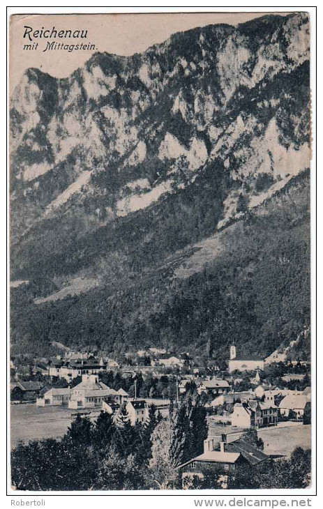 Reichenau Mit Mittagstein, Gelaufen - Raxgebiet