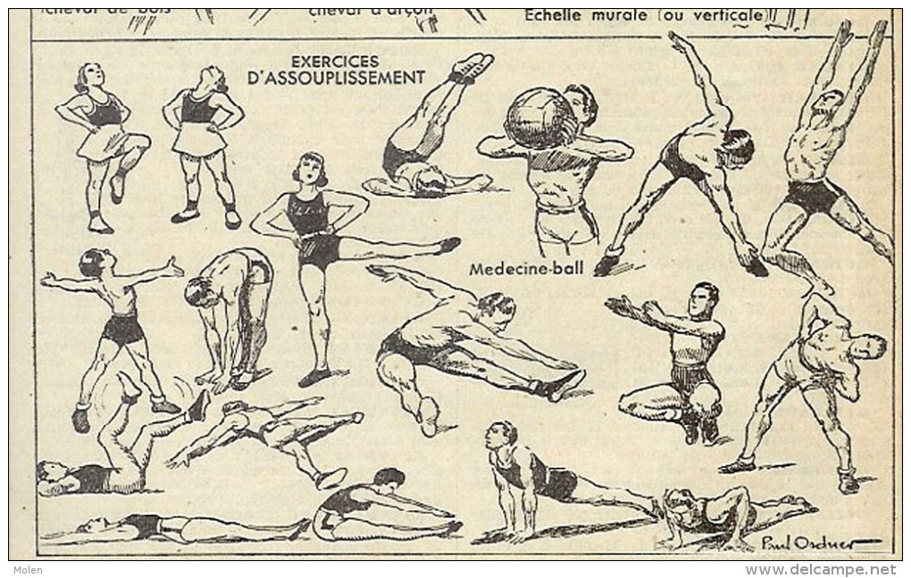 GYMNASTIQUE GYMNASTIEK GYMNASTICS GYMNASTIK GINNASTICA = GRAVURE XIXé Ou XXé Ca.:103 X 160 Mm - ENGRAVING ETS   R309 - Gymnastics