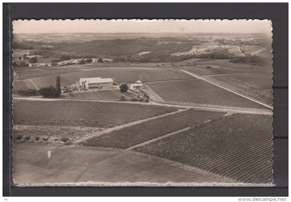 33 - Donzac - Domaine Du FILH - Patachou Pierre - Carte Photo - Sonstige & Ohne Zuordnung