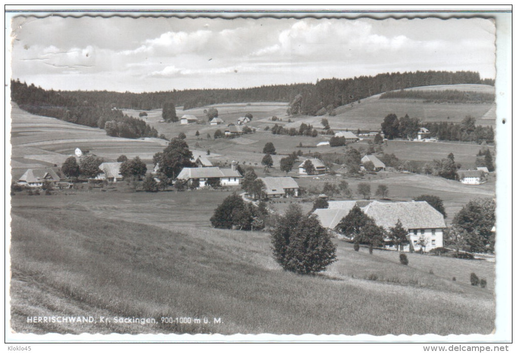 Allemagne - HERRISCHWAND Kr. Säckingen 900-1000 M ü M. - Vue Du Village Et De La Campagne Environnante - CPSM - Bad Saeckingen