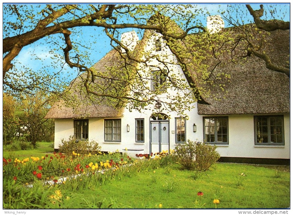 Friesland - Friesenhaus Im Frühling - Nordfriesland