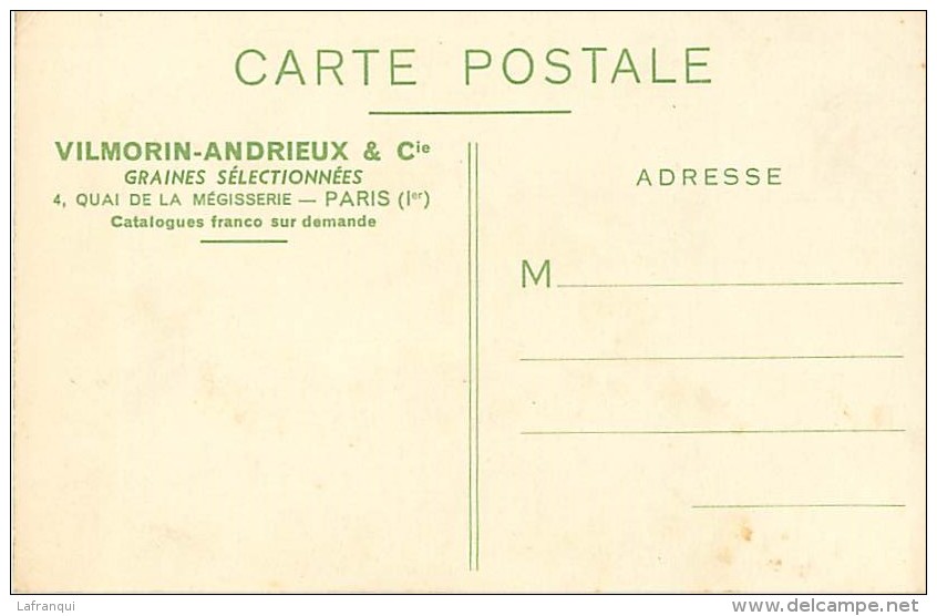 Themes Div -ref M329- Horticulture -fleurs -les Tonnelles Fleuries De Vilmorin -andrieux -paris  -carte Bon Etat  - - Fleurs