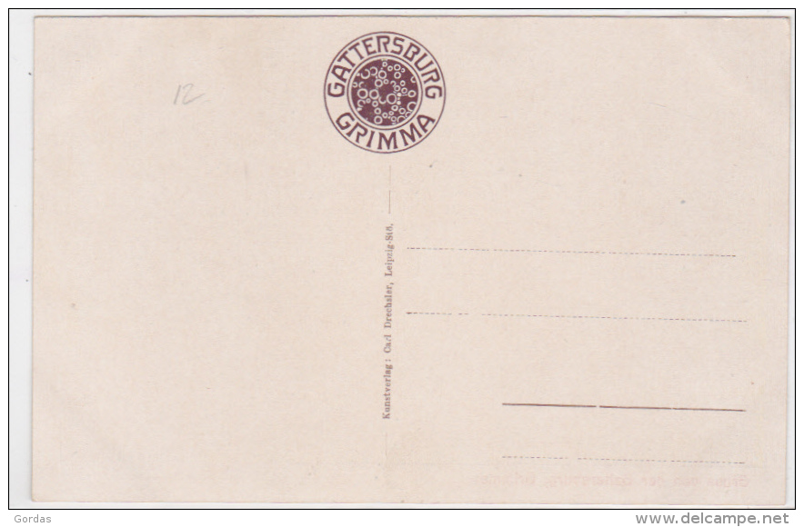 Germany - Grimma - Gruss Von Der Gattesburg - Grimma
