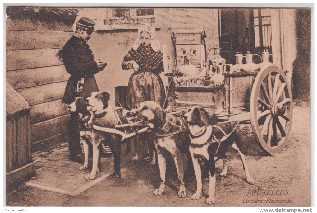 Belgique - Bruxelles - Laitière Flamande - Attelage De Chiens - Editeur: ? N° 5248 - Straßenhandel Und Kleingewerbe