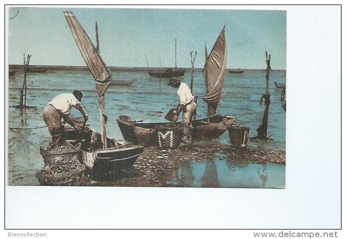 Charente Maritime,les Pêcheurs De Moules Arrivant Des Bouchots - Autres & Non Classés