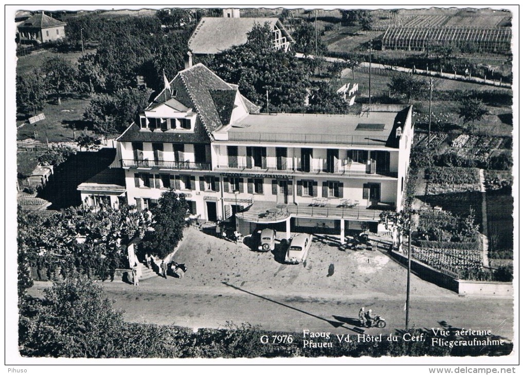 CH3813     FAOUG : Hotel Du Cerf - Vue Aerienne - Autres & Non Classés