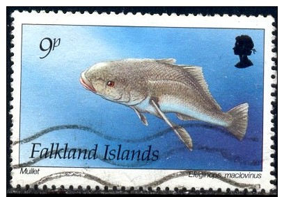 Fish, Mullet, Falkland Islands Stamp SC#601 Used - Falkland