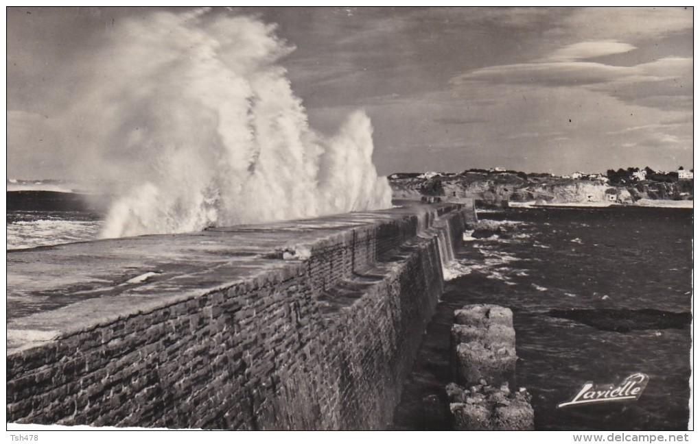 64---CIBOURE---effet De Vagues Sur La Digue De Socoa----voir 2 Scans - Ciboure