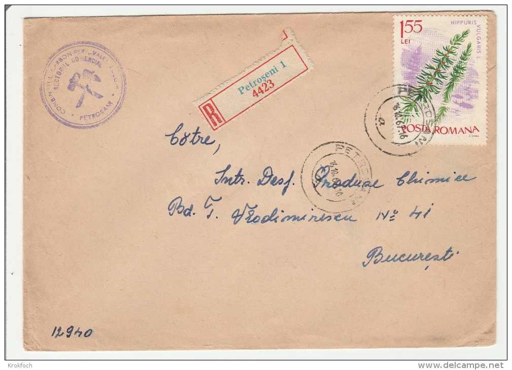 Petroseni Petrosam 1967 - Lettre Cover Brief - Poststempel (Marcophilie)