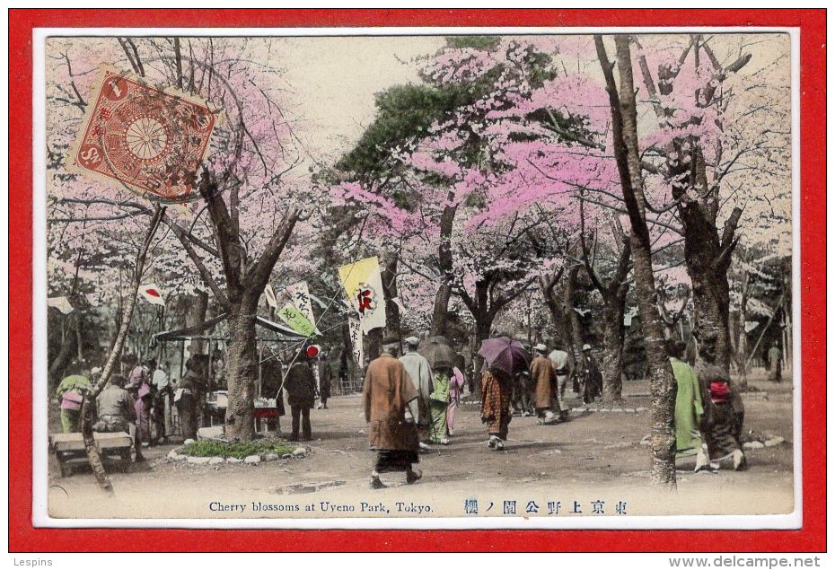 ASIE - JAPON --  Tokio  - Cherry Blossom At Uyeno Park - Tokyo