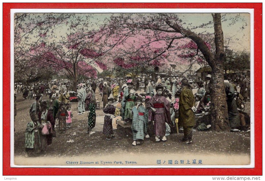 ASIE - JAPON --  Tokio  - Cherry Blossom At Uyeno Park - Tokyo