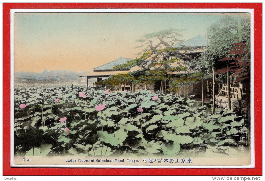 ASIE - JAPON --  Tokio -- Lotus Flower At Shinobazu Pond - Tokyo