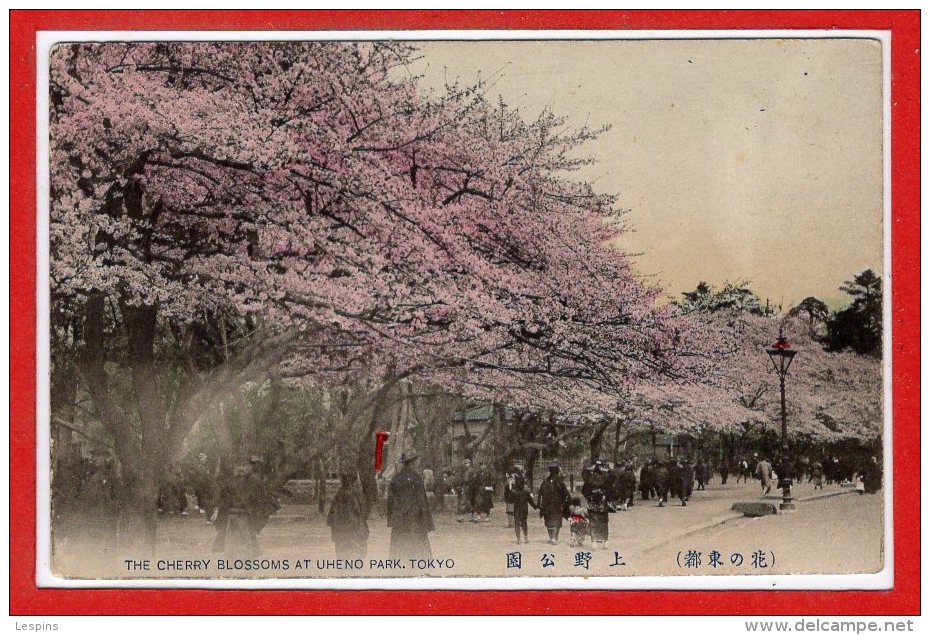 ASIE - JAPON --  Tokio  -- The Cherry Blossoms At Uhenon Park - Tokyo
