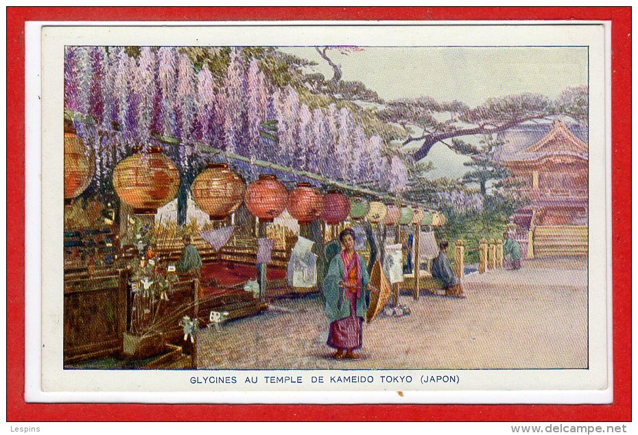 ASIE - JAPON --  Tokio  -- Glycines Au Temple De Kameido - Tokyo