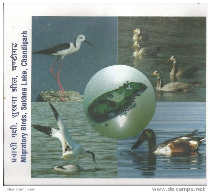 Special Cover,Blacked Winged Stilt, Bar Headed Geese, Pied Avocet, Northern Shoveler, Migratory Birds - Ganzen