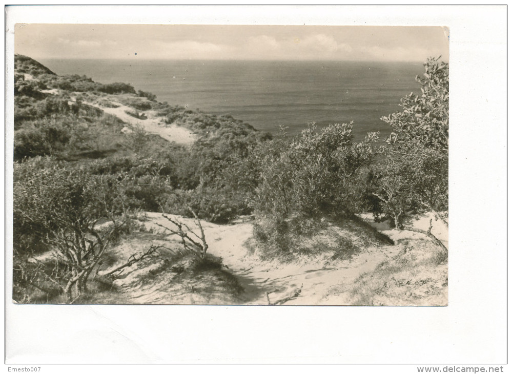 PK-CP Deutschland - "DDR", Insel Hiddensee, Gebraucht, Siehe Bilder!*) - Hiddensee