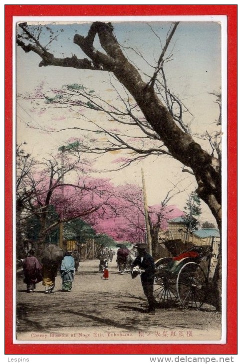 ASIE - JAPON --  YOKOHAMA -- Cherry Blossom At Hill - Yokohama