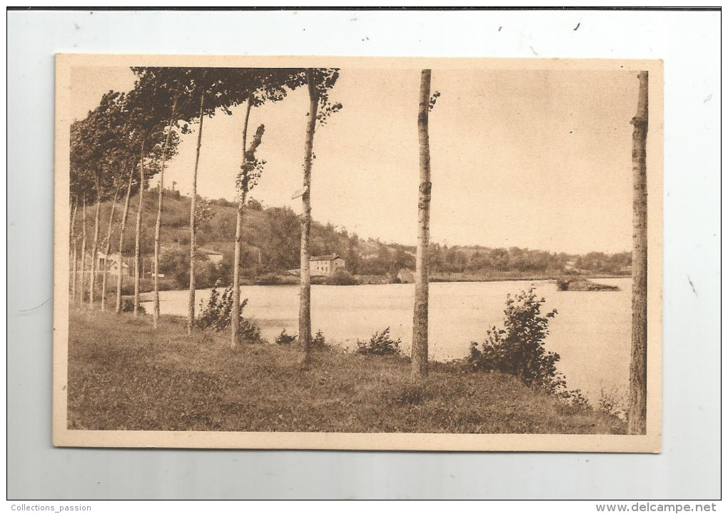 G-I-E  , 86  , AVAILLES LIMOUZINE , Les Grands Moulins , Vue Sur La Vienne, Ed : Audoin  , Vierge - Availles Limouzine